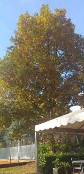  - SCUOLA TENNIS I DUNI